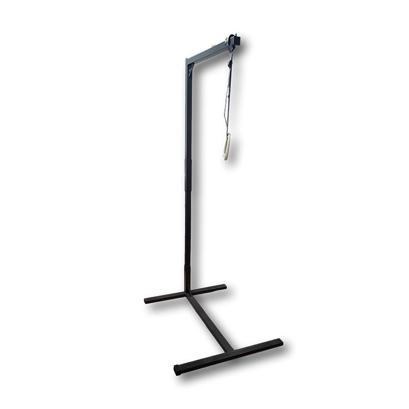 iCare Over Bed Pole