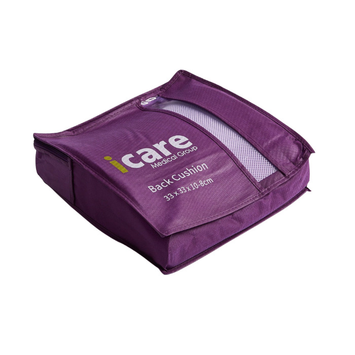 iCare Back Cushion
